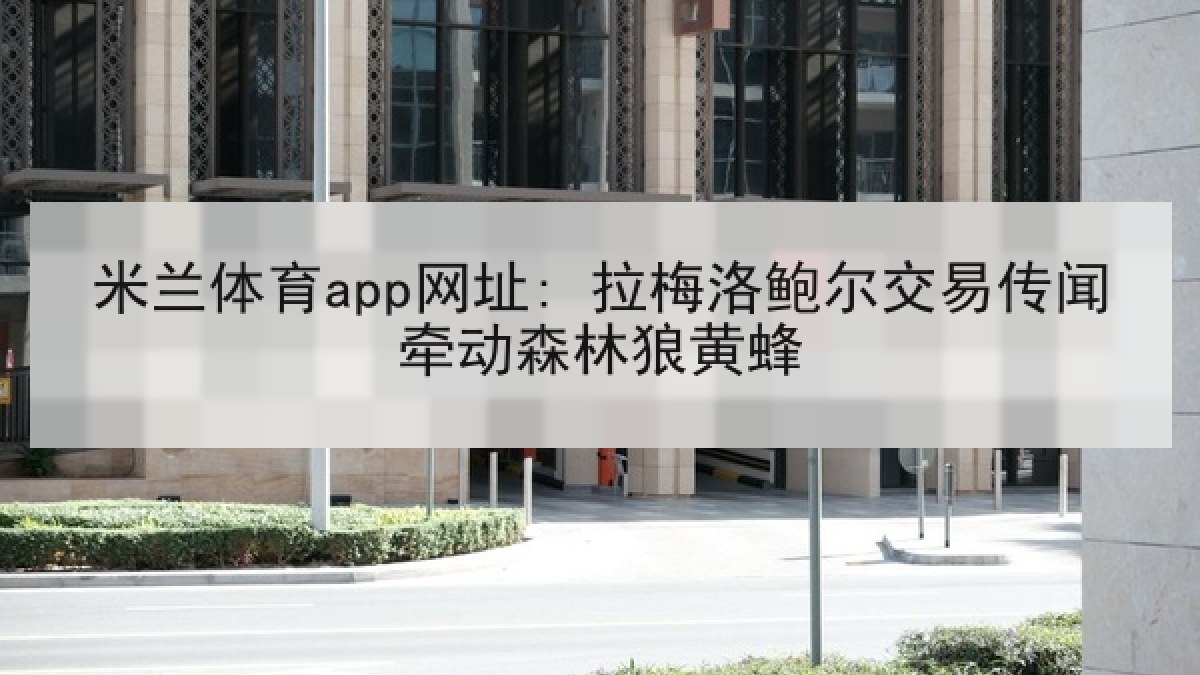 米兰体育app网址: 拉梅洛鲍尔交易传闻牵动森林狼黄蜂