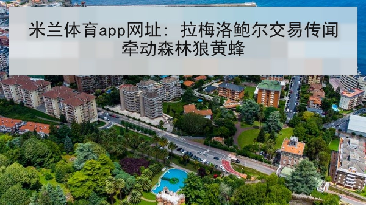 米兰体育app网址: 拉梅洛鲍尔交易传闻牵动森林狼黄蜂