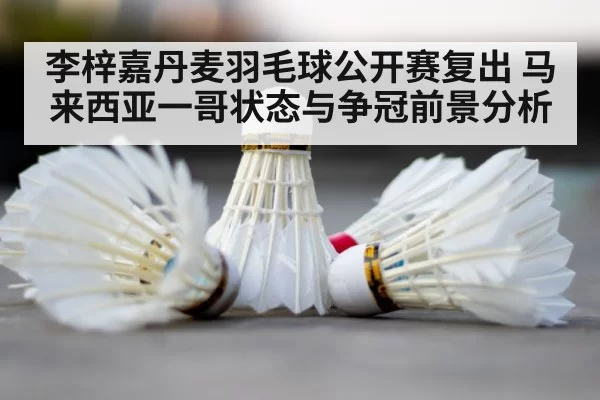 badminton shuttlecock court