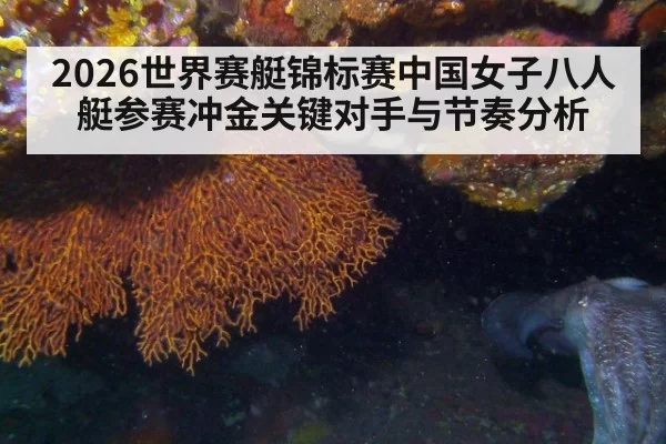 2026世界赛艇锦标赛中国女子八人艇参赛冲金关键对手与节奏分析